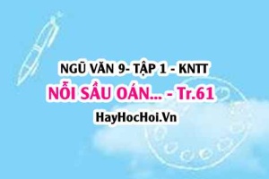 Soạn bài Nỗi sầu oán của người cung nữ trang 61 Ngữ văn lớp 9 tập 1 Kết nối tri thức